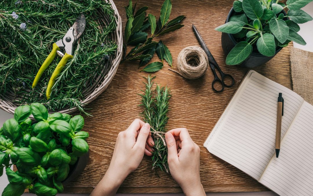 Herbs: Nature’s Hidden Gems for Nutrition and Healthy Eating